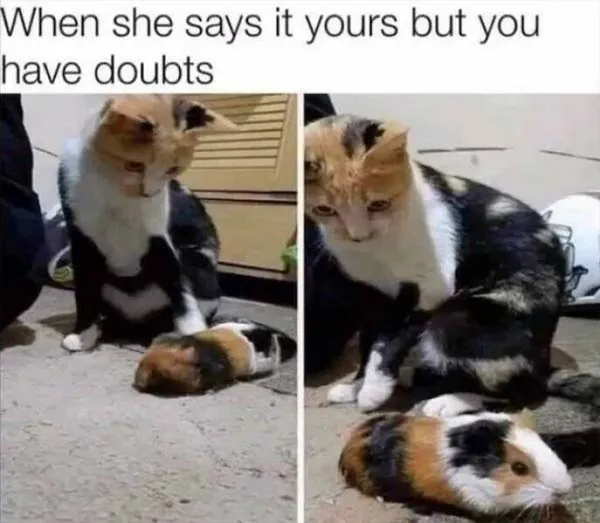 Funny Memes 1 1