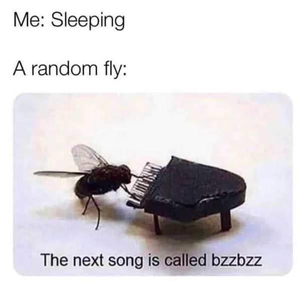 Funny Memes 1 2