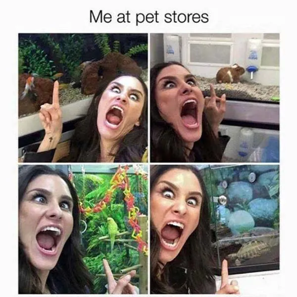 Funny Memes 1