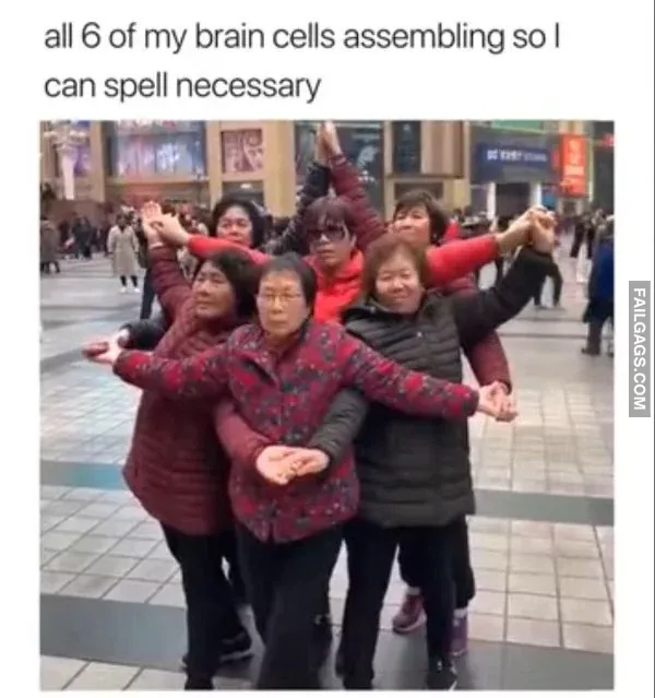 Funny Memes 11 1