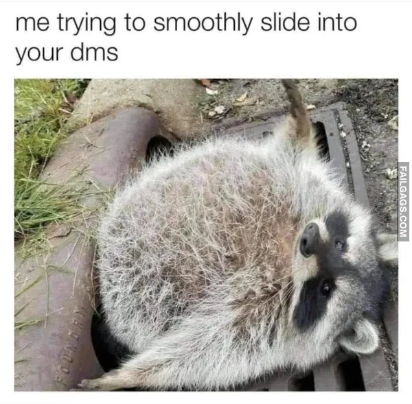 Funny Memes 11 3