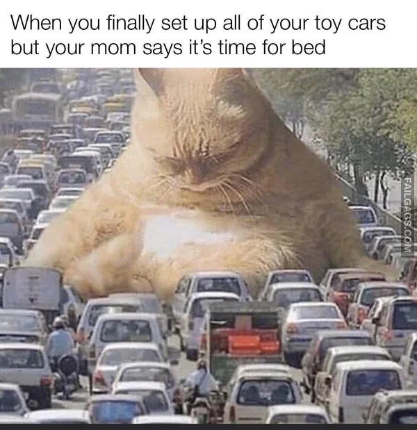 Funny Memes 12 2