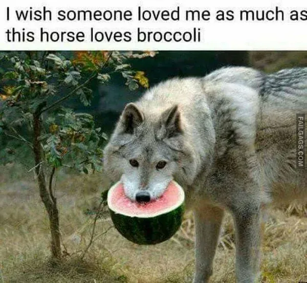 Funny Memes 12
