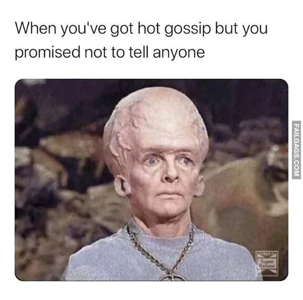Funny Memes 14