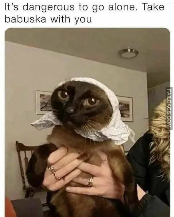 Funny Memes 2 1