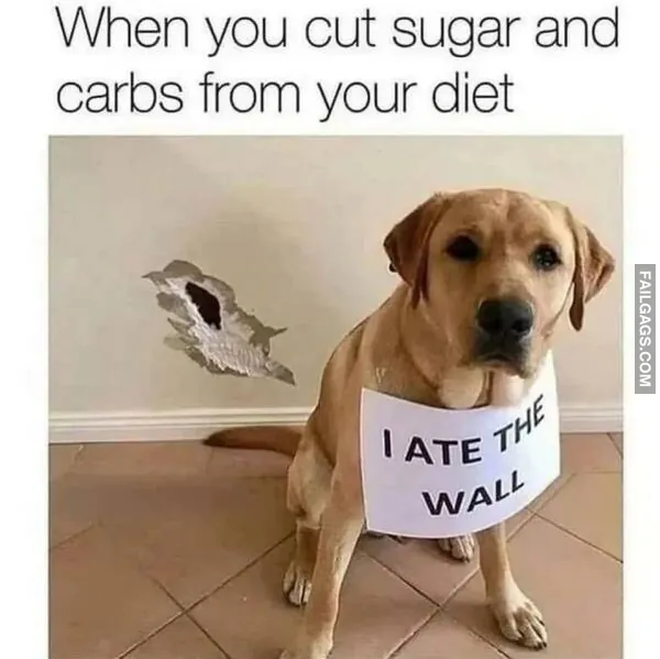 Funny Memes 2