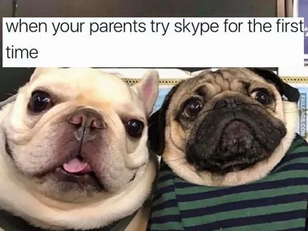Funny Memes 3 2