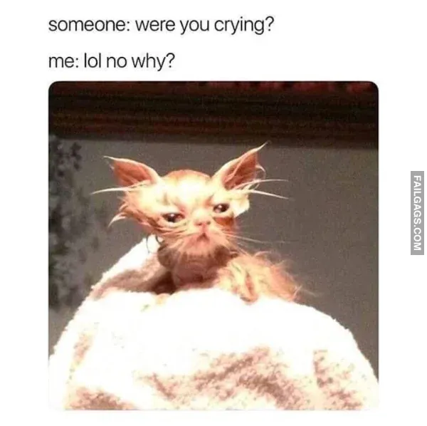 Funny Memes 5 1