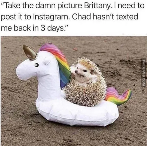 Funny Memes 5 2