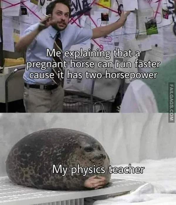 Funny Memes 5 3