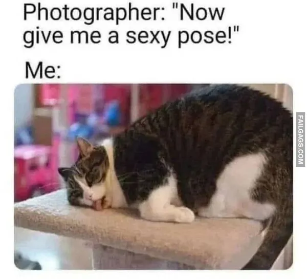 Funny Memes 5