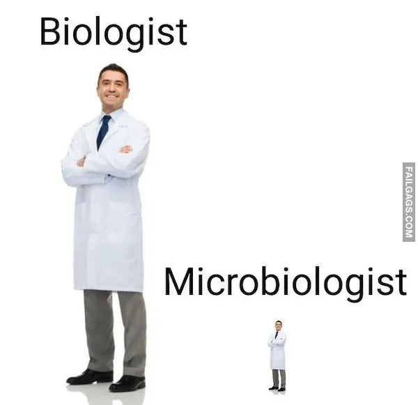 Funny Memes 6 3