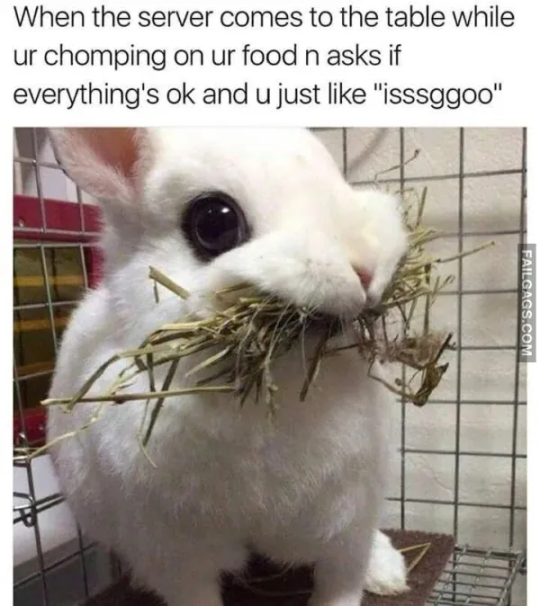 Funny Memes 7 2