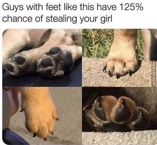 Funny Memes 9 4