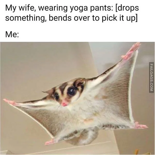 Funny Memes Only Married Men Will Understand 11