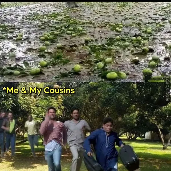 Hilarious Indian Memes 11