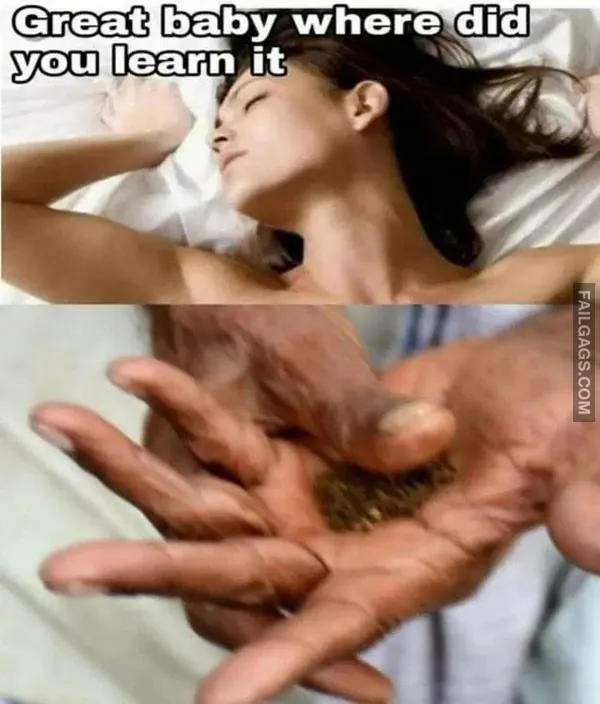 Indian Sex Memes 7 4