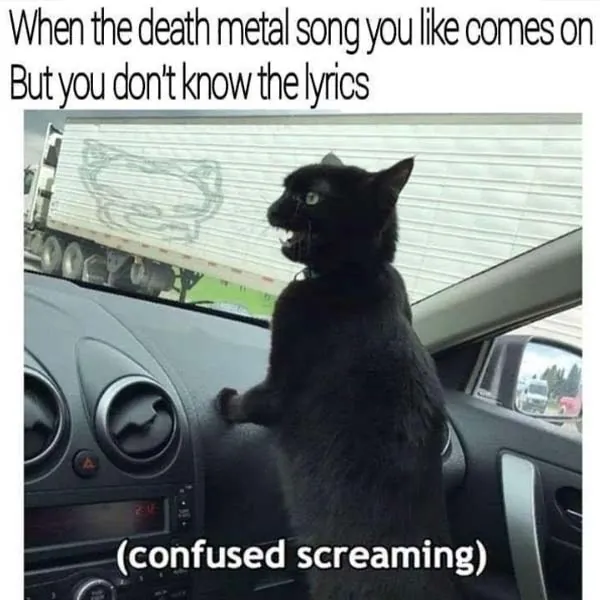 Random Funny Memes 1