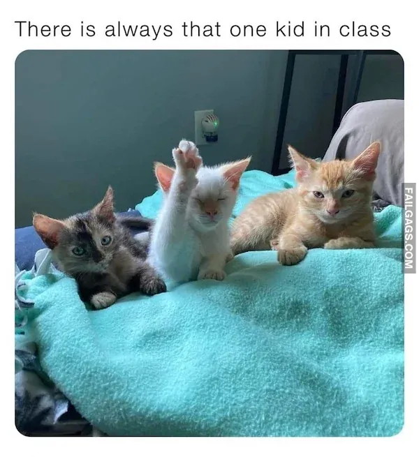 So True Memes 10