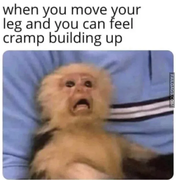 So True Memes 2