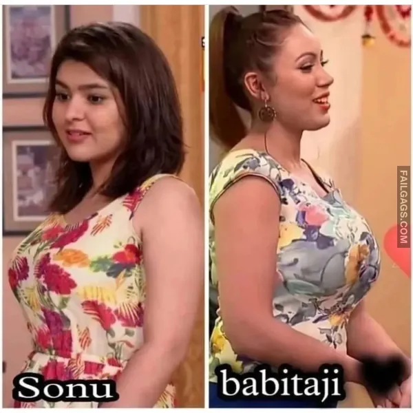 Taarak Mehta Ka Ooltah Chashmah Dirty Memes 5