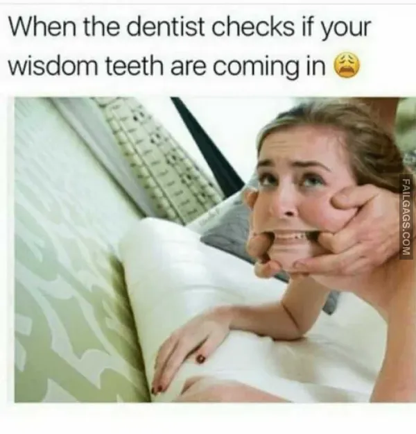 Funny Adult Memes 11 2