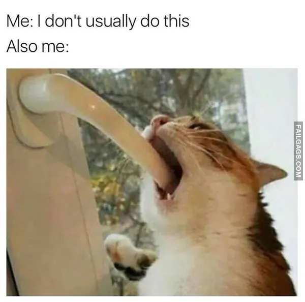 Funny Adult Memes 8 1