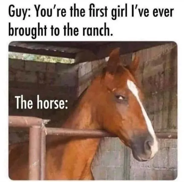Funny Memes 1 4
