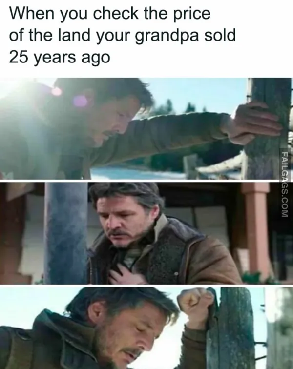 Funny Memes 10 5