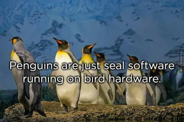 Funny Memes 11 5