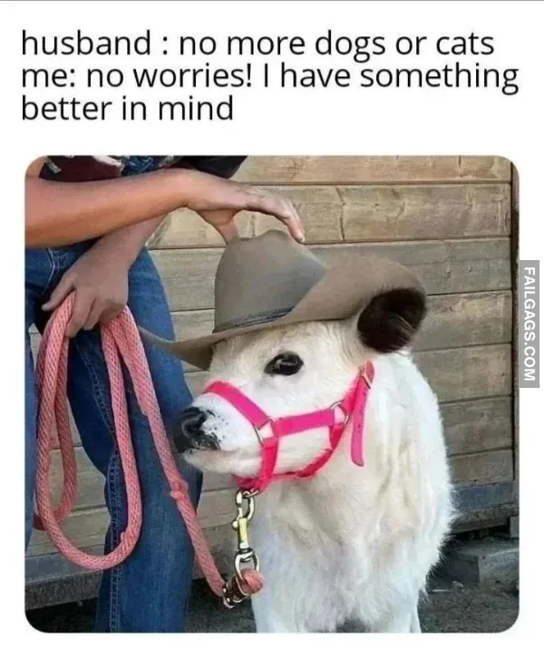 Funny Memes 3 4