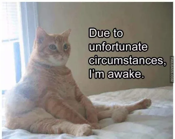 Funny Memes 3