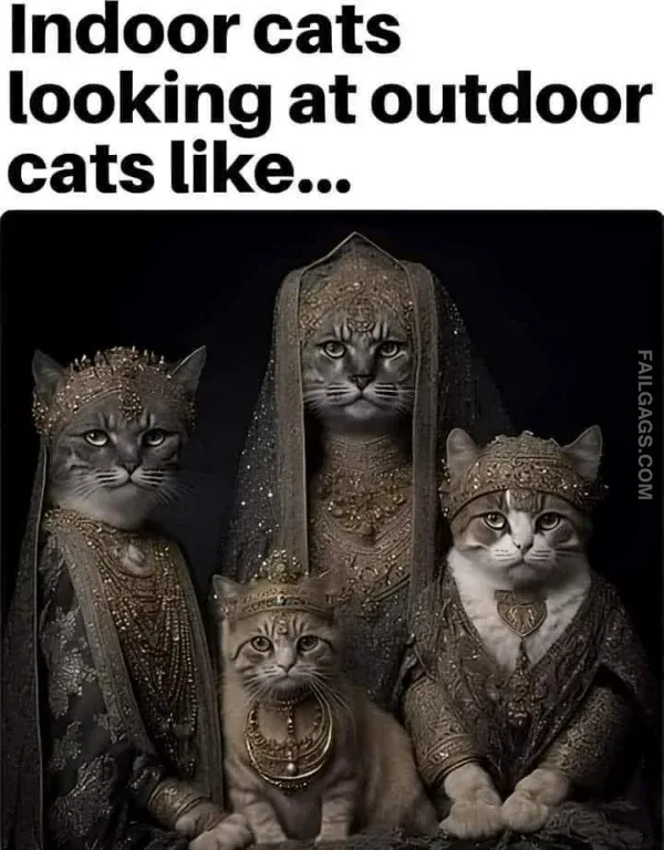 Funny Memes 4 4