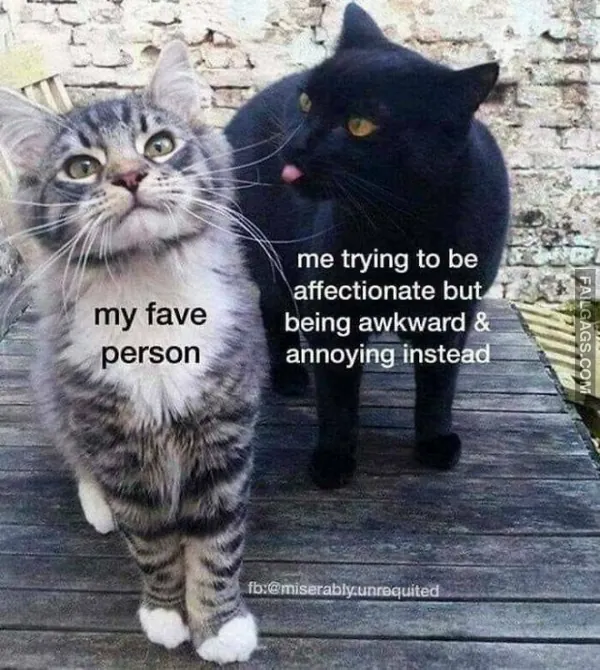 Funny Memes 5 2