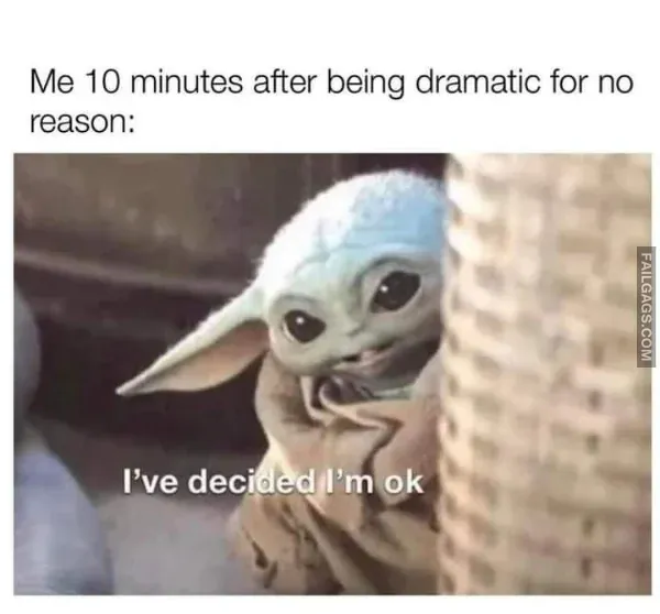 Funny Memes 5 4