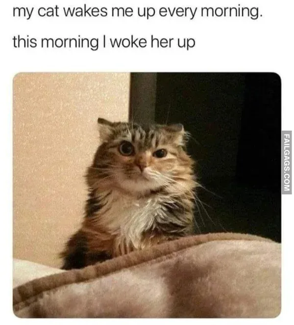 Funny Memes 6 4