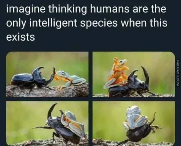 Funny Memes 7 4