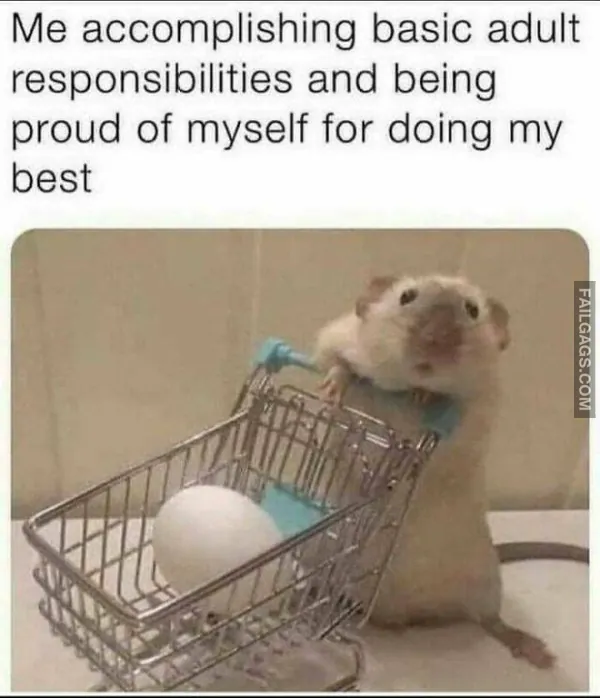 Funny Memes 9 2