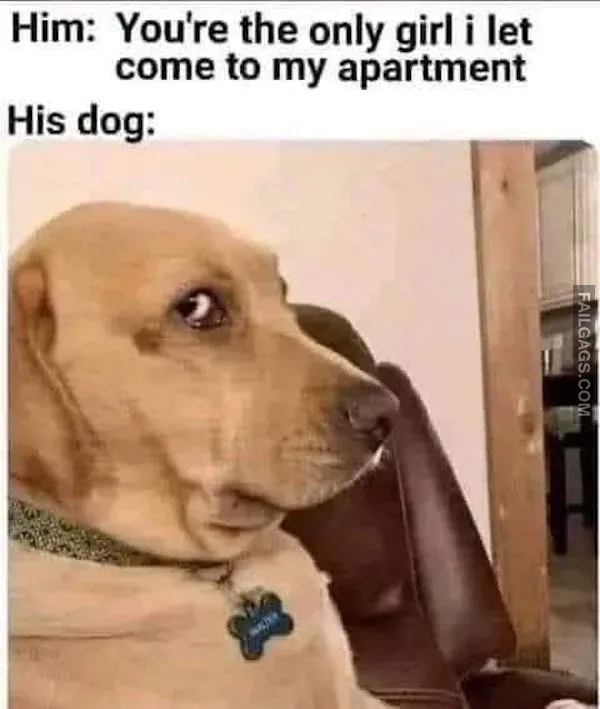 Funny Memes Explain Why Youre Single 10