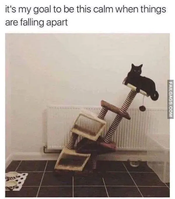 Funny Memes Explain Why Youre Single 5