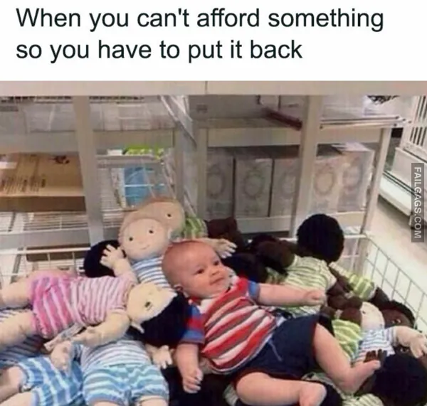 Funny Money Memes 6