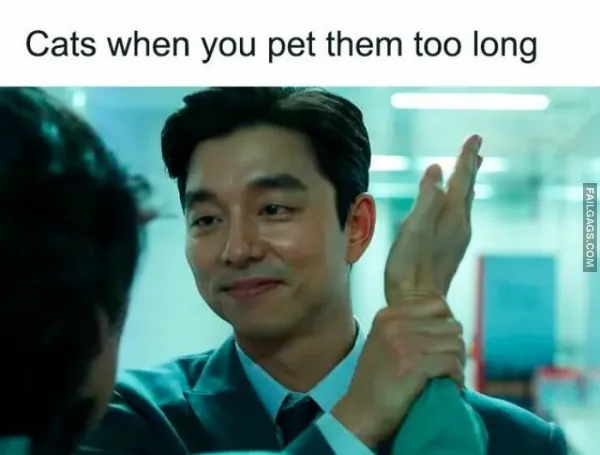 Funny Sarcastic Memes 11