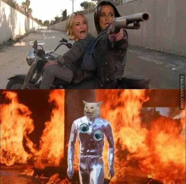 Funny Terminator Memes 3