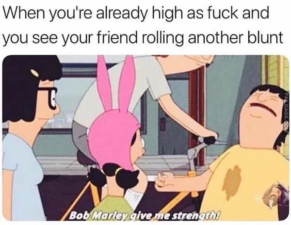 Funny Weed Memes 9