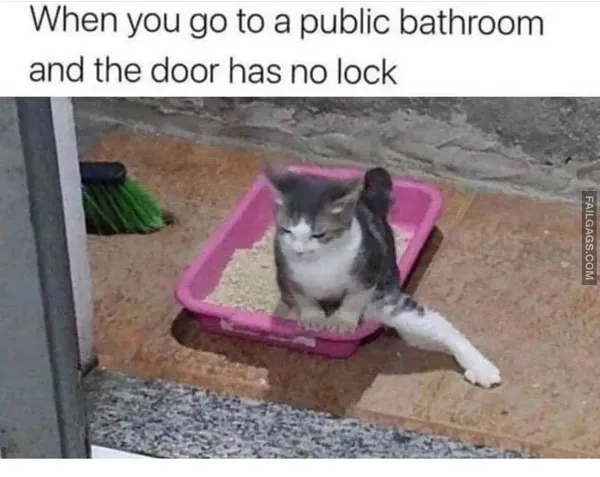 Indian Memes 3