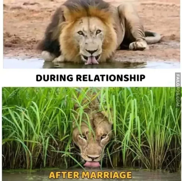 Indian NSFW Memes 4
