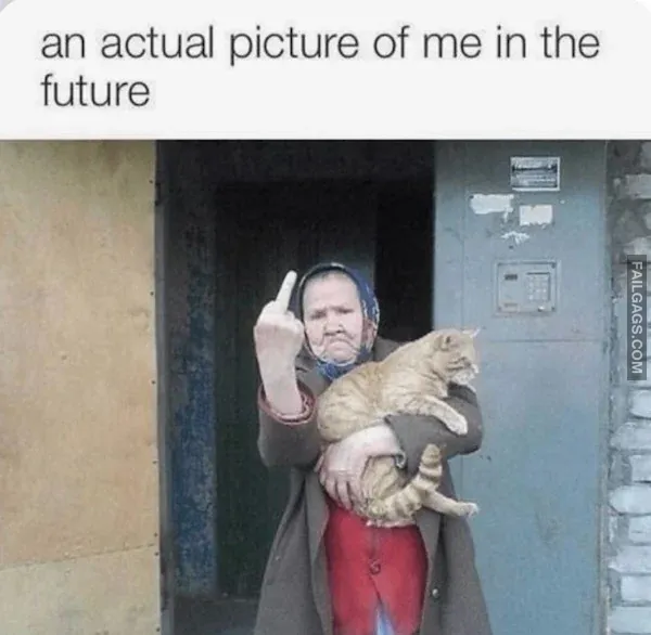 Random Funny Memes 11 1