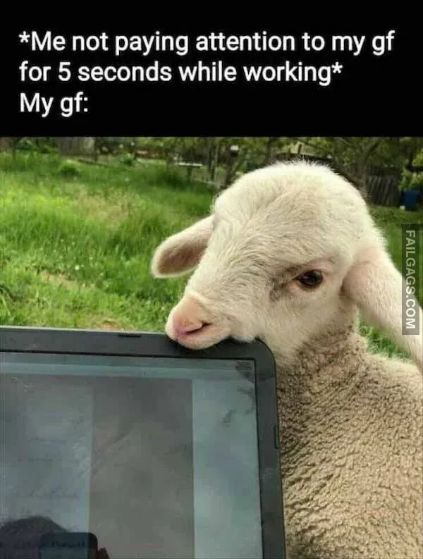 So True Memes 10