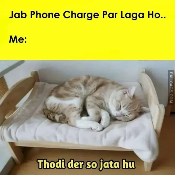 Funny Hindi Memes 12
