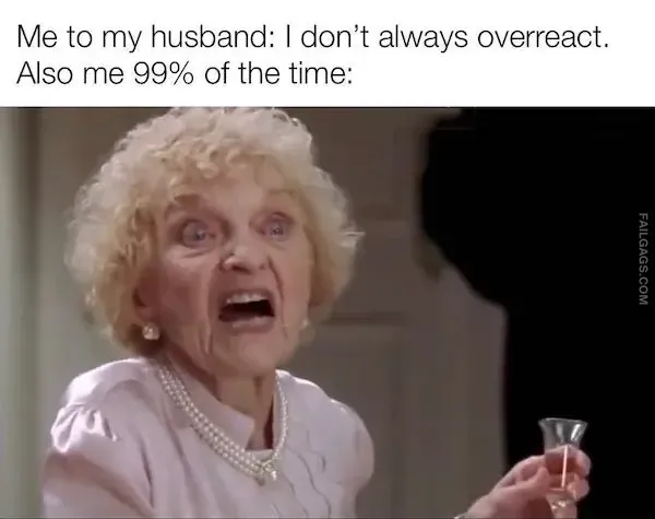 Funny Husband Memes 9